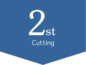 Cutting